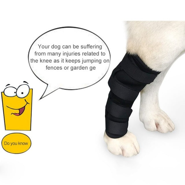 Injured Leg Guards for Dogs